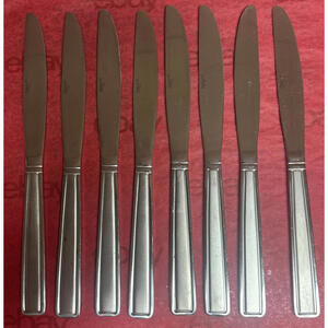 Pfaltzgraff Delano Frost Stainless Flatware Set of 8 Better Dinner Knives EUC